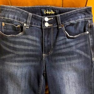 NWOT! Indigo Rein Skinny Jeans size 7